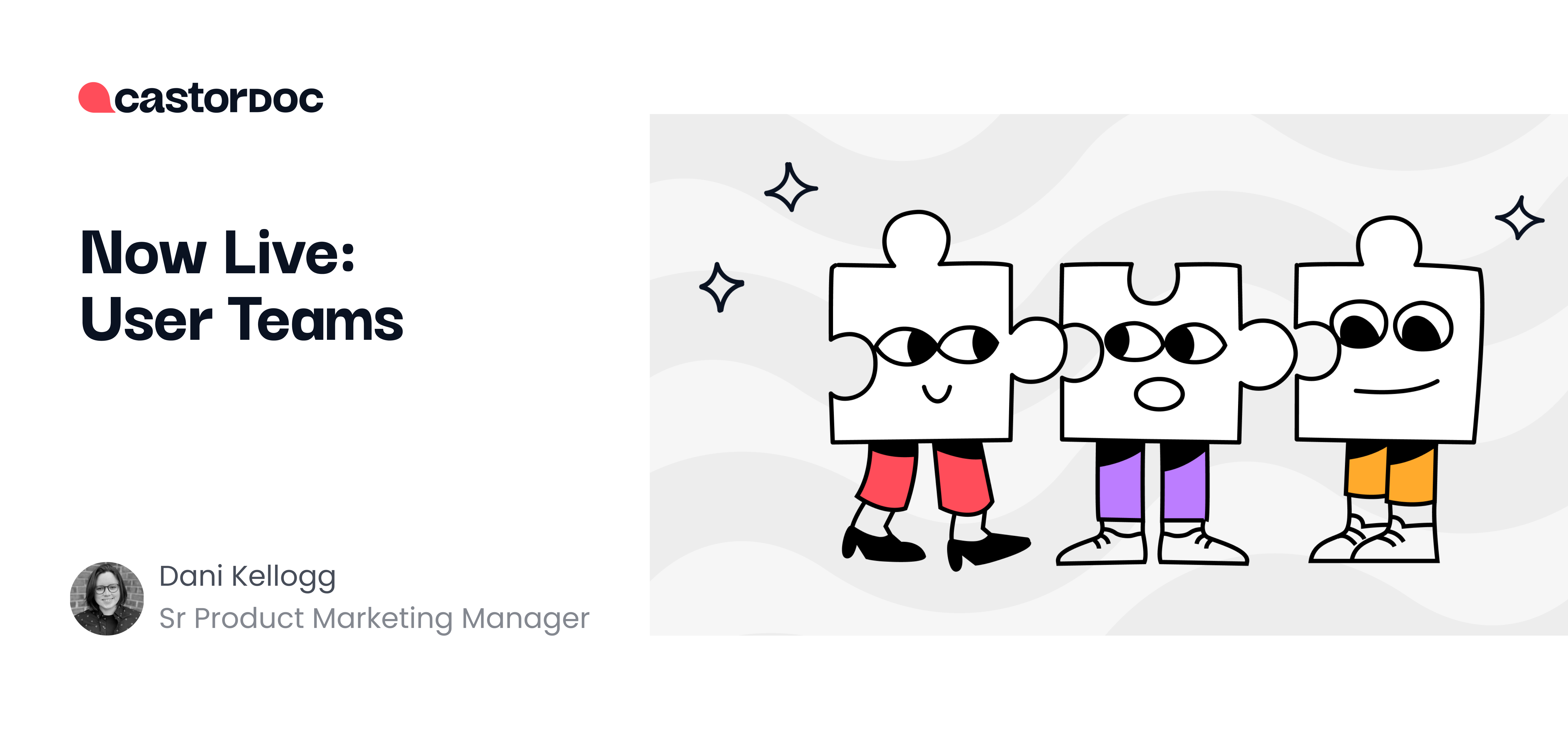 now-live-user-teams-castordoc-blog